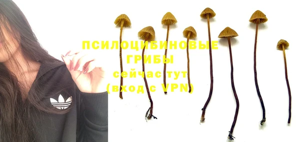 не бодяженный Елабуга