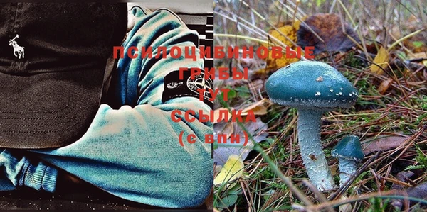 таблы Елизово